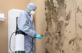 Best Industrial Mold Remediation  in Moss Bluff, LA